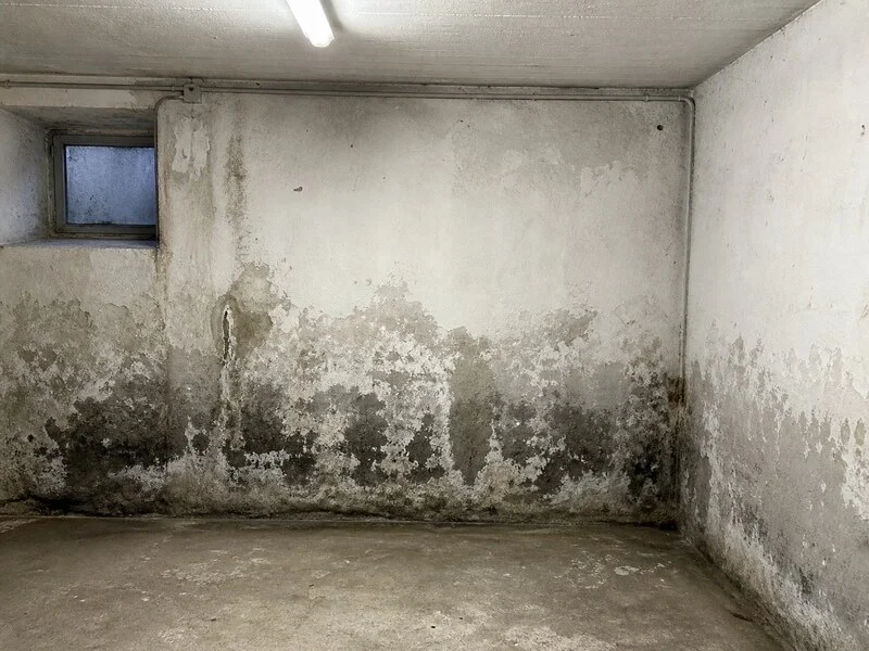 Feuchter Keller vorher